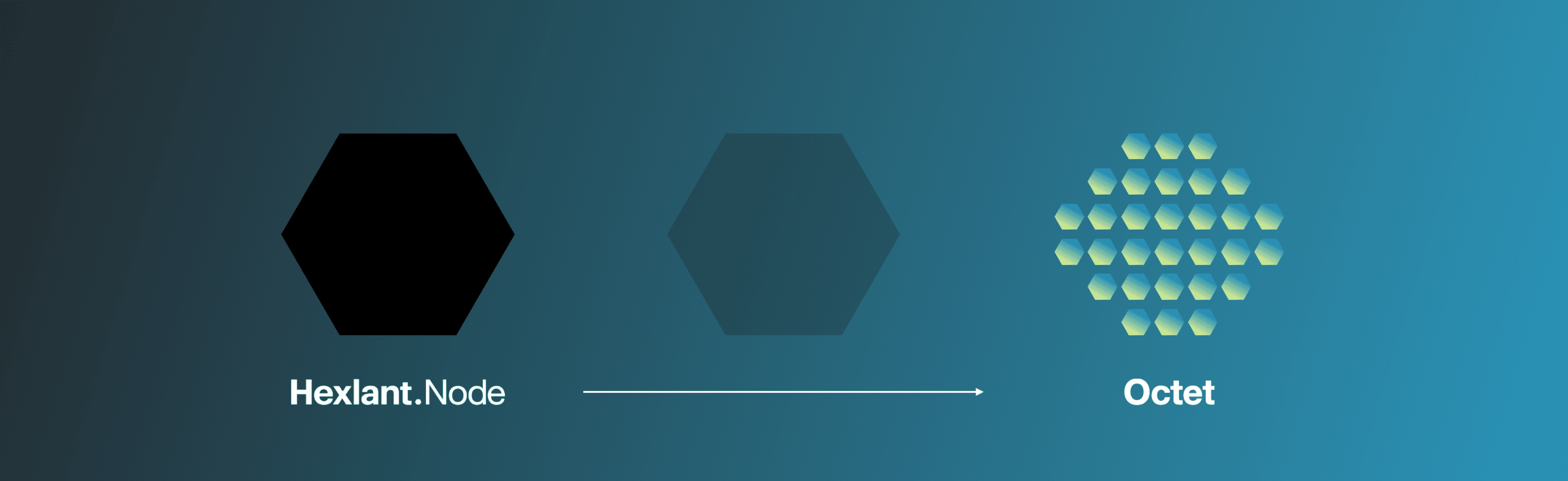 octet-brand-image-2
